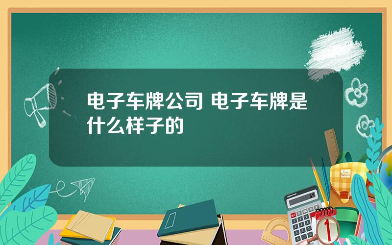 电子车牌公司 电子车牌是什么样子的